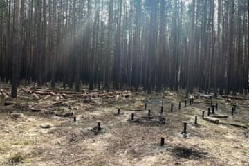 Винтовые сваи в Хабаровске